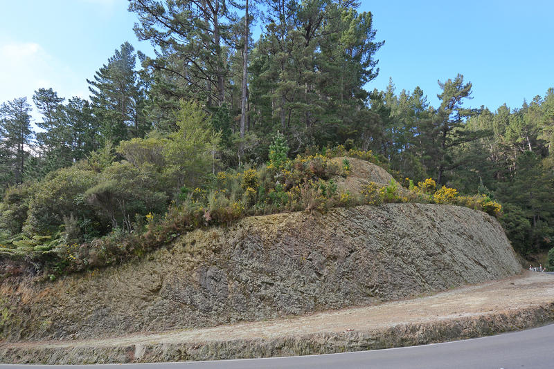 Open2view ID298183 (131 Blue Mountains Road) Property for sale in