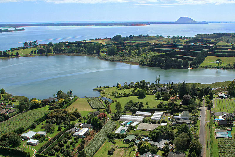 Open2view ID278458 Property for sale in Te Puna, New Zealand