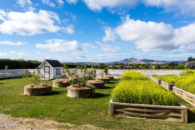 Open2view ID363293 Property for sale in North Taieri, New Zealand