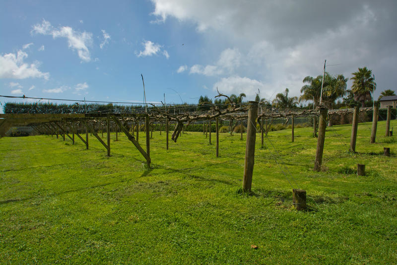 Open2view ID300908 Property for sale in Te Puna, New Zealand