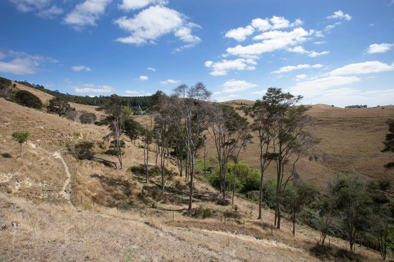 Open2view ID311641 Property for sale in Morrinsville, New Zealand