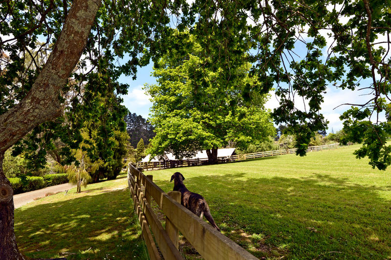 Open2view ID303073 Property for sale in Coatesville, New Zealand