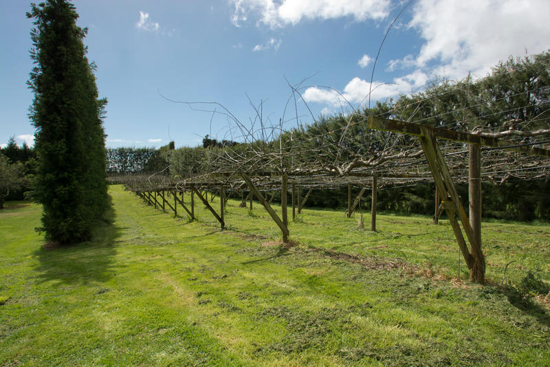 Open2view ID300908 Property for sale in Te Puna, New Zealand