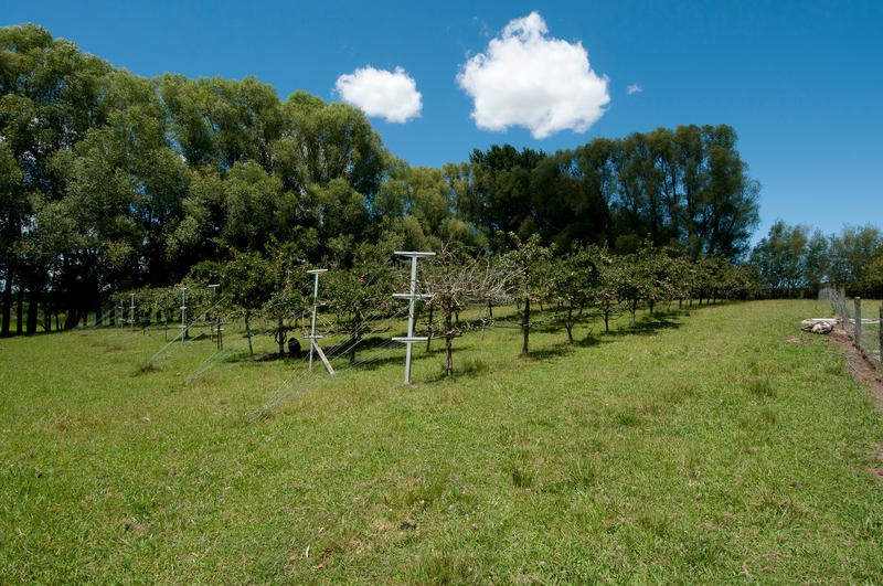 Open2view ID283216 Property for sale in Pukehina, New Zealand