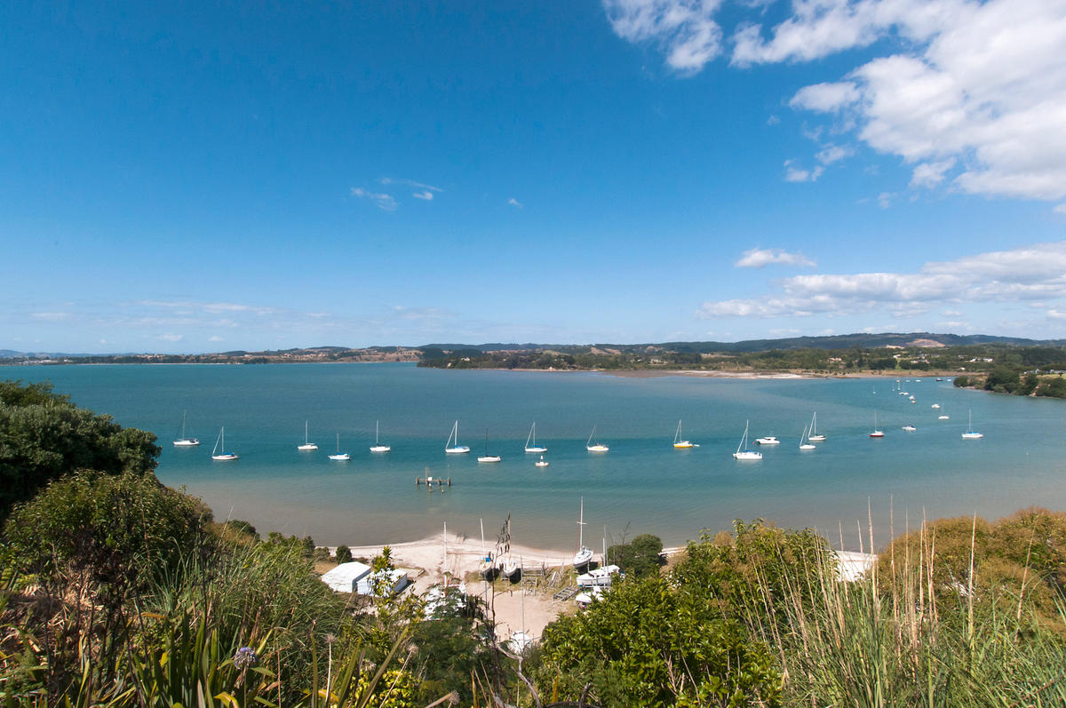 Image result for cockle bay auckland