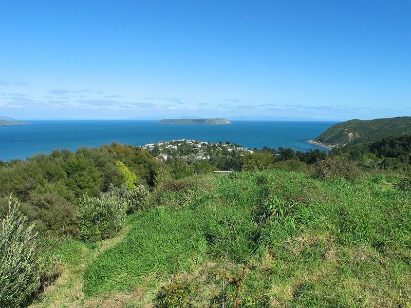 Open2view ID#324947 - Property for sale in Plimmerton, New Zealand